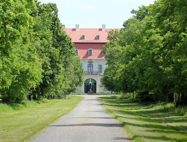 Offene Türen zur Gestütsschau