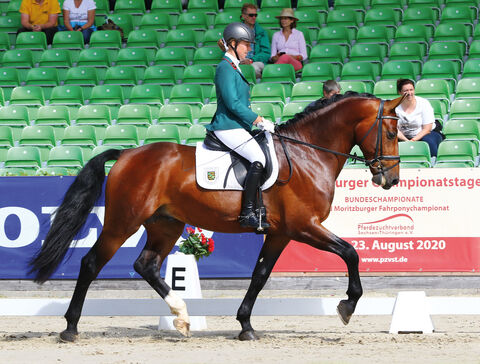 Reitpferdeprüfung Landgestüt Moritzburg