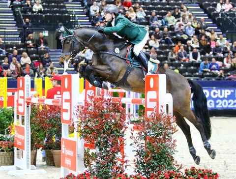 Lahnstein zur Messe Partner Pferd Leipzig