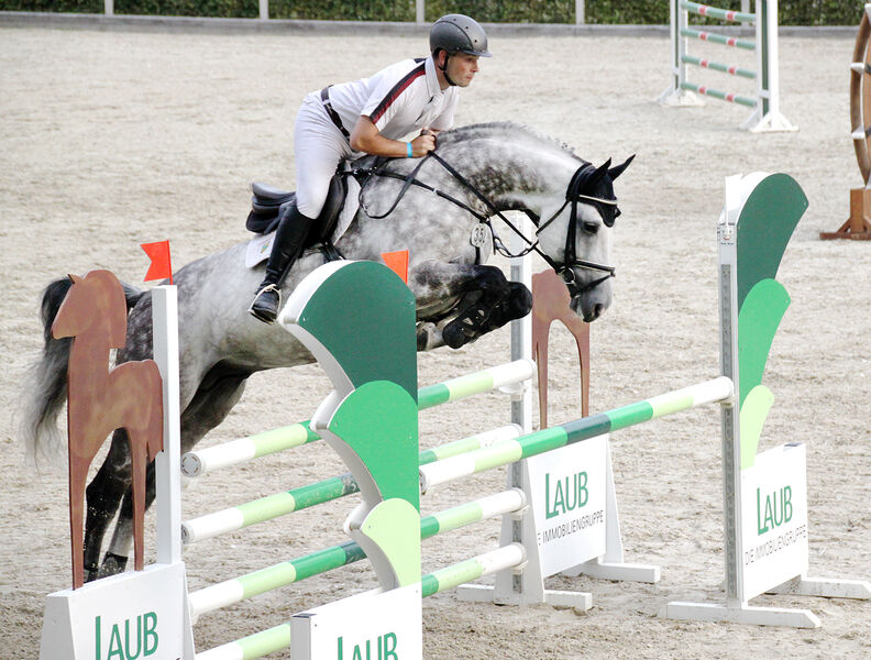 Sieg für EDITION in Kl. A**, OSKARI platziert SGV Sächsische