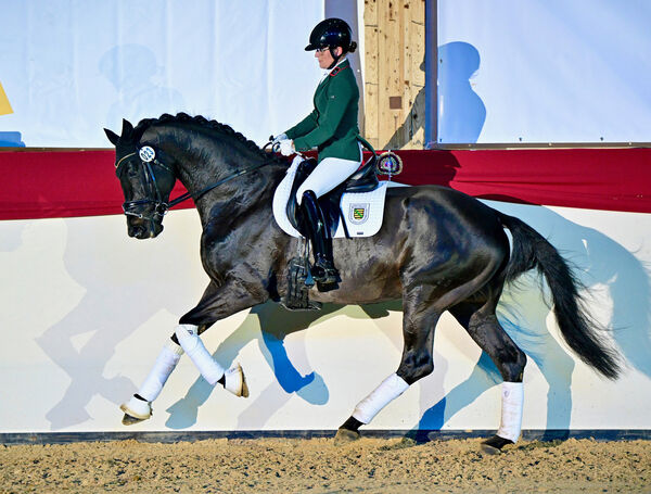 DSP Galaabend München 2024