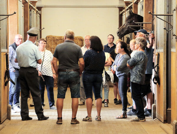 Nachmittag für Moritzburger im Landgestüt