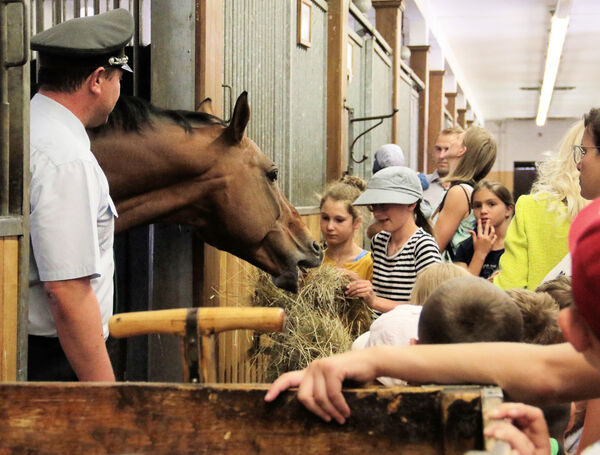 Nachmittag für Moritzburger im Landgestüt