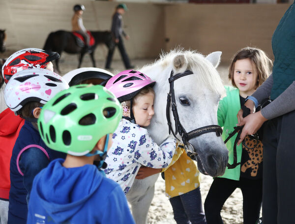 Kindertag im Landgestüt 2022