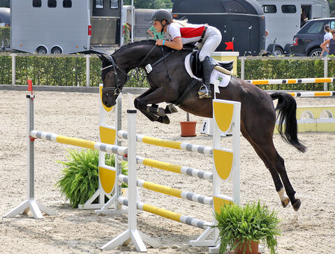 Landgestüt Moritzburg Springturnier