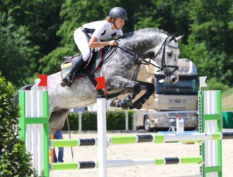 HICKSTEAD JUNIOR im Landgestüt Moritzburg