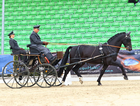 Bundeschampionat Moritzburg
