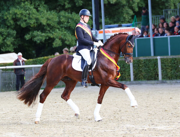 Zweite Moritzburger Hengstparade