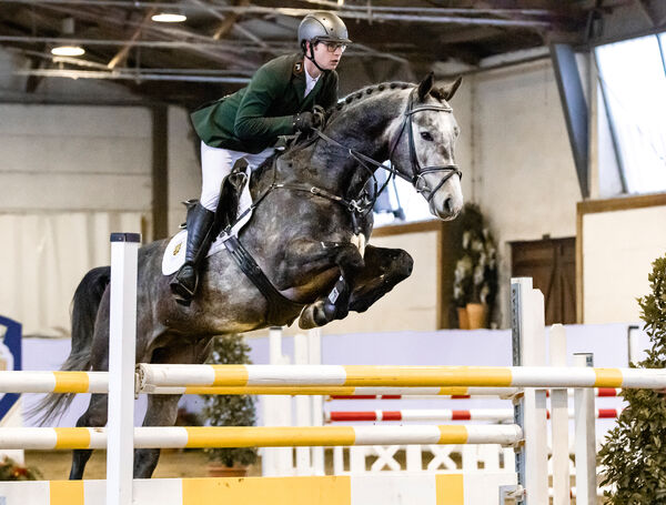 CORNET'S PLEASURE VDL unter Gestütswärter Felix Müller