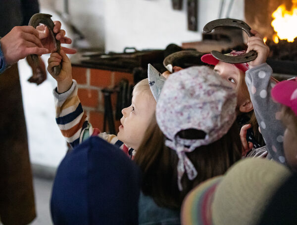 Kindertag 2022 im Hauptgestüt Graditz