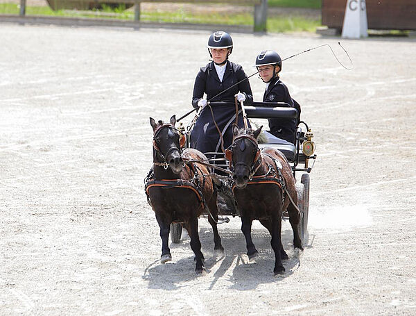 Das Bild zeigt eine Kutsche mit zwei kleinen Ponys davor.