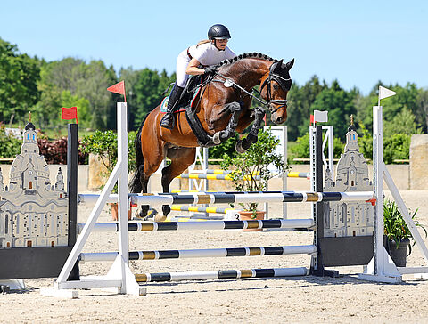 Reiter und Pferd am Sprung