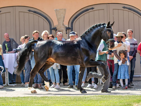 Züchtertag Landgestüt Moritzburg