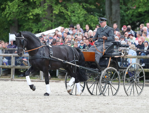Gestütsschau Graditz 2022