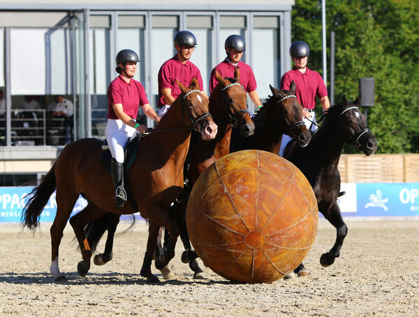 Dritte Moritzburger Hengstparade 2024