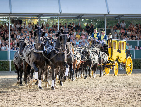 Postkutsche Moritzburger Hengstparaden