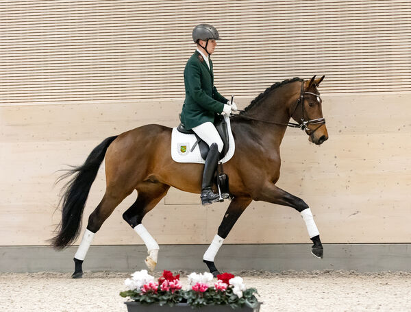 VABENOTTO mit GW Tim Süß im Trab