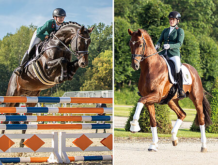 Championatssieger von VIVA VITALIS, QUASI QUADAM und LAHNSTEIN - zum Beitrag