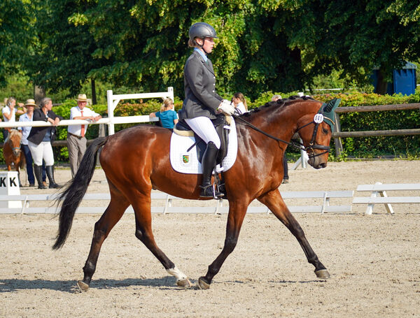 Elena Lachmann mit Kuba v. Kanzone zum Turnier