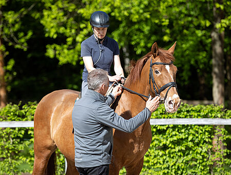 Freie Plätze Vorbereitungsseminar Trainer C/B Reiten - zum Beitrag