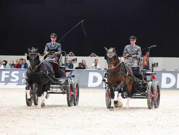 Stunde der Hengste Chemnitzer Messe