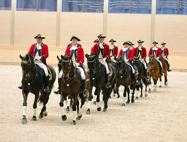 Dressurquadrille der Landbeschäler