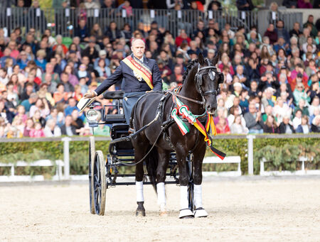 Zweite Moritzburger Hengstparade