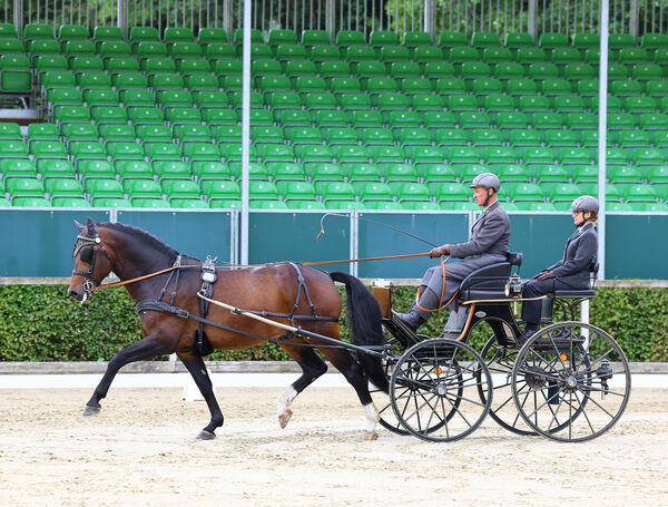 Bundeschampionat Moritzburg 2025