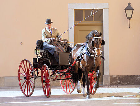 Präsentation historischer Wagen im Landgestüt - zum Beitrag
