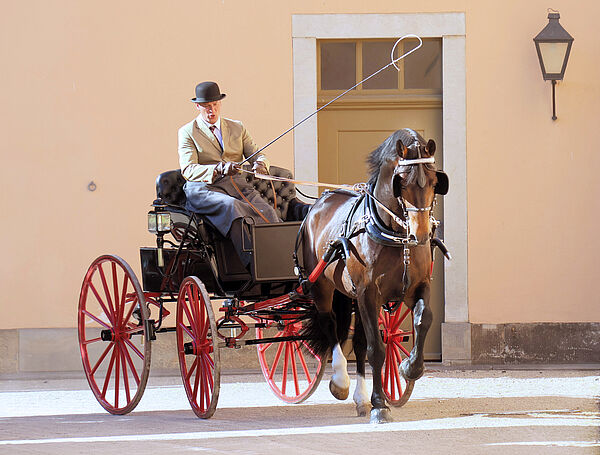 ein braunes Pferd vor einem schwarz-roten Wagen im Trab
