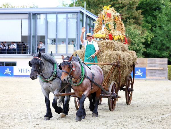 Moritzburger Hengstparade 2025
