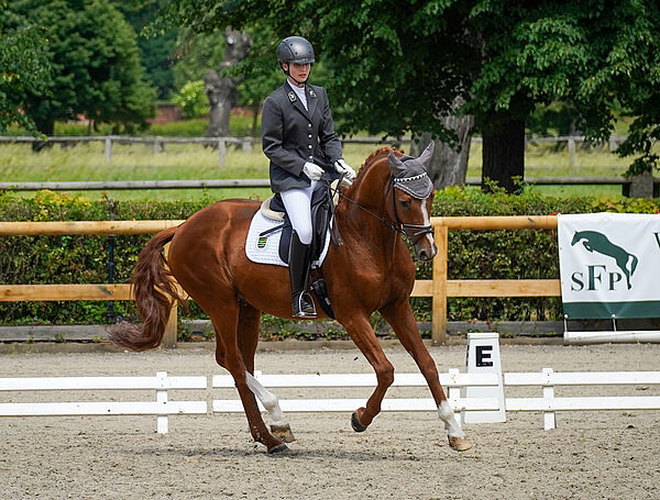 Das Bild zeigt eine Reiterin auf einem roten Pferd im Galopp