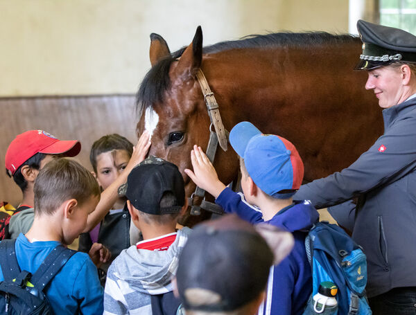 Kindertag 2022 im Hauptgestüt Graditz
