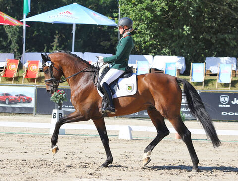 Landgestüt Moritzburg Turniersport Dressur