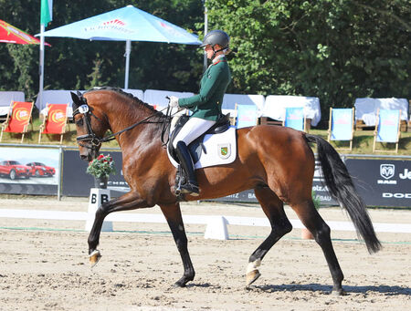 Landgestüt Moritzburg Turniersport Dressur