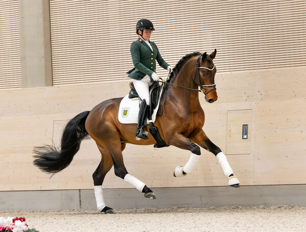 CIRION mit GOW´n Linda Casper im Galopp