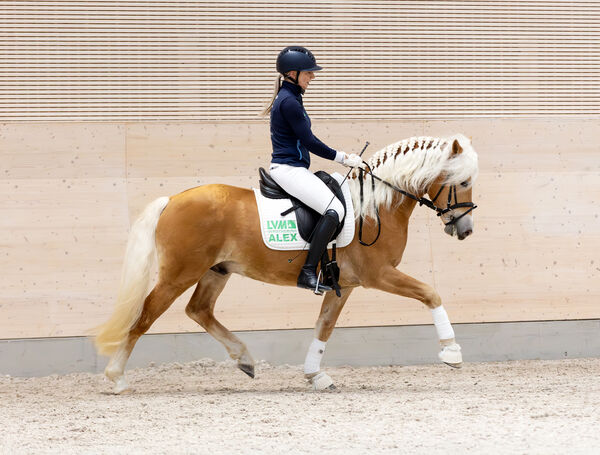 Neuzugang Bandit unter Helen Weber