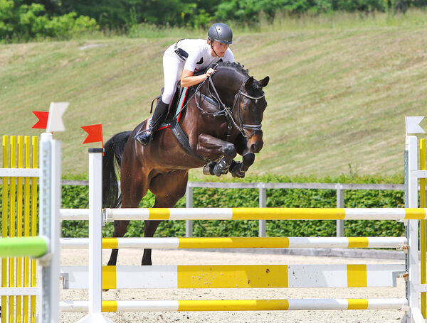 Quizado im Landgestüt Moritzburg