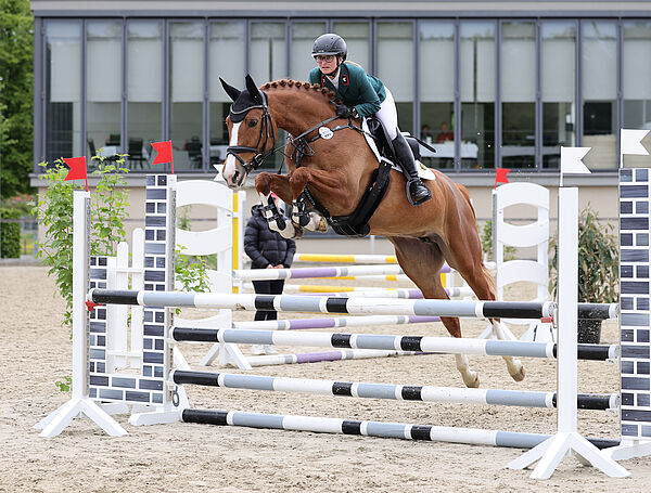 Reiter und Pferd am Sprung