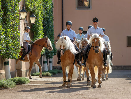 Generalprobe Musik und Hengste