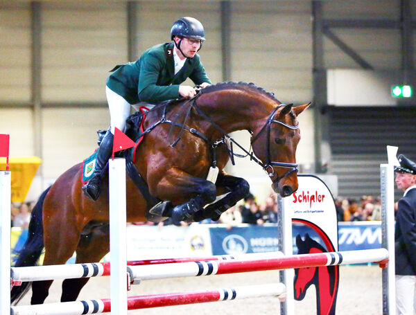 Pferd und Reiter am Sprung