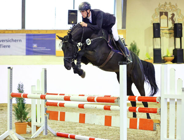 Hengstpräsentation Reitpferde Moritzburg