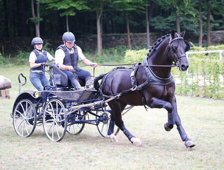 Stutenchampionat Wolfersdorf 2023