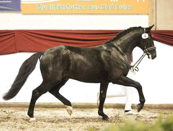 Excalibur v. Effekt-Eklatant