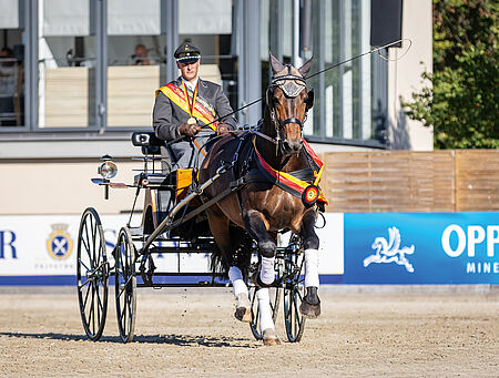 Moritzburger Championatstage 2026 - zum Beitrag