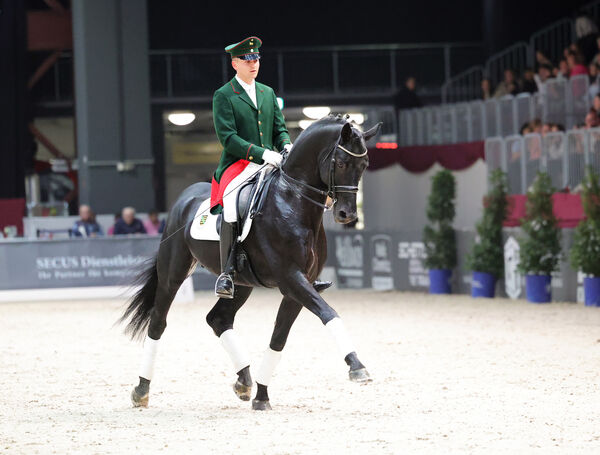 Stunde der Hengste Chemnitzer Messe