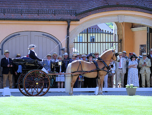 ein Haflinger im Einspänner, dahinter Publikum