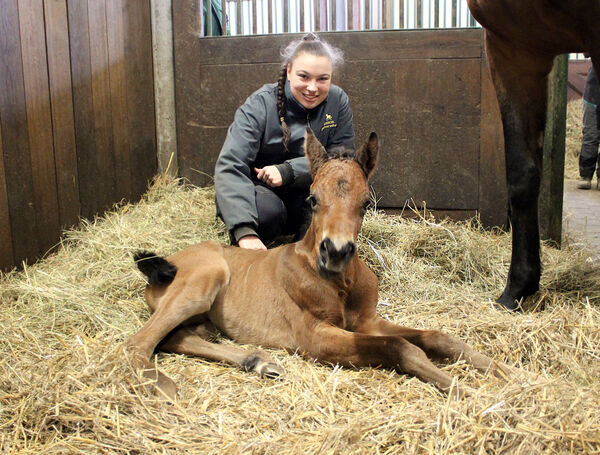 Ein kleines Fohlen liegt in der Box. Ein Mädchen hockt dahinter und lächelt.