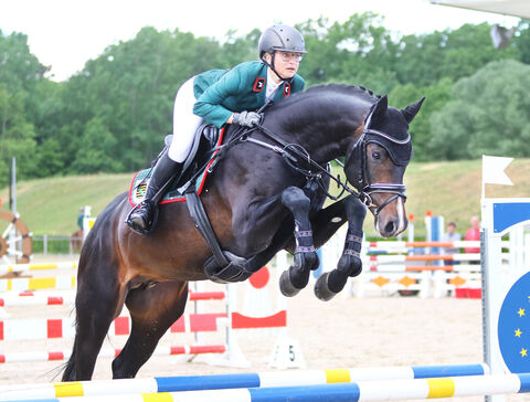 Jungpferdetag Moritzburg