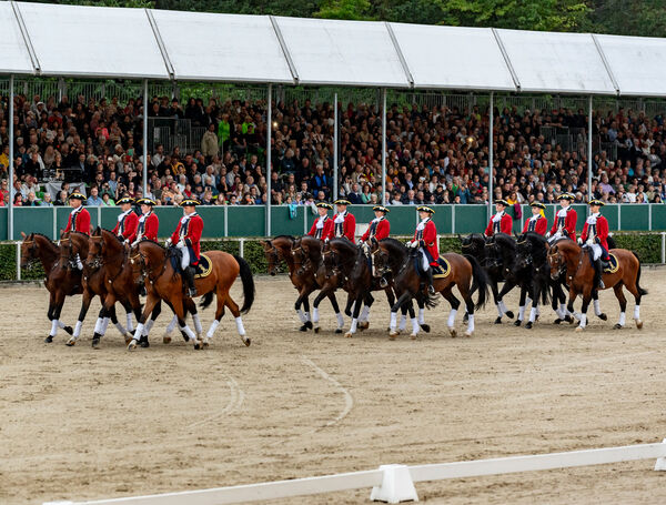 Carmina Burana Landesbühnen Sachsen